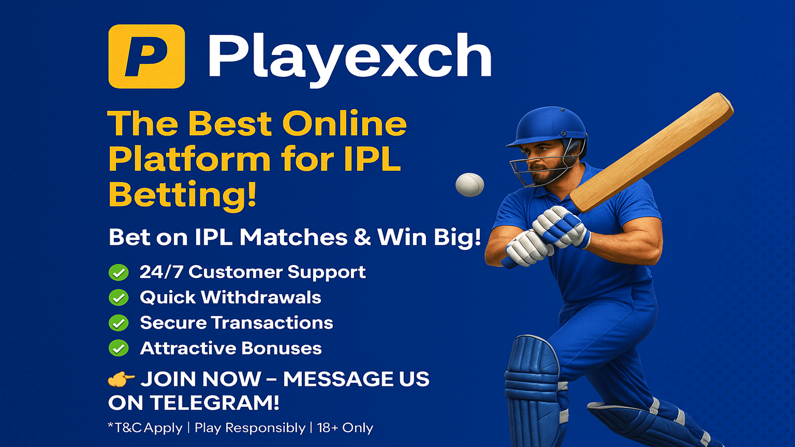 Playexch the best online pletform for IPL Betting